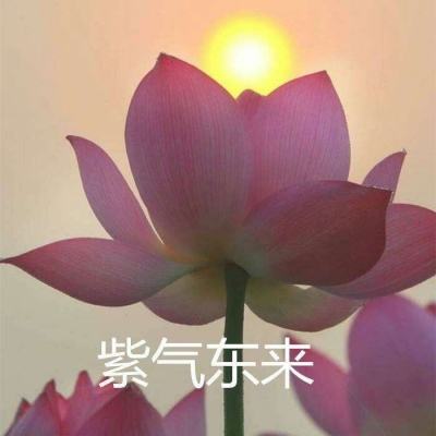 战斗竞技场游戏下载